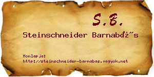 Steinschneider Barnabás névjegykártya